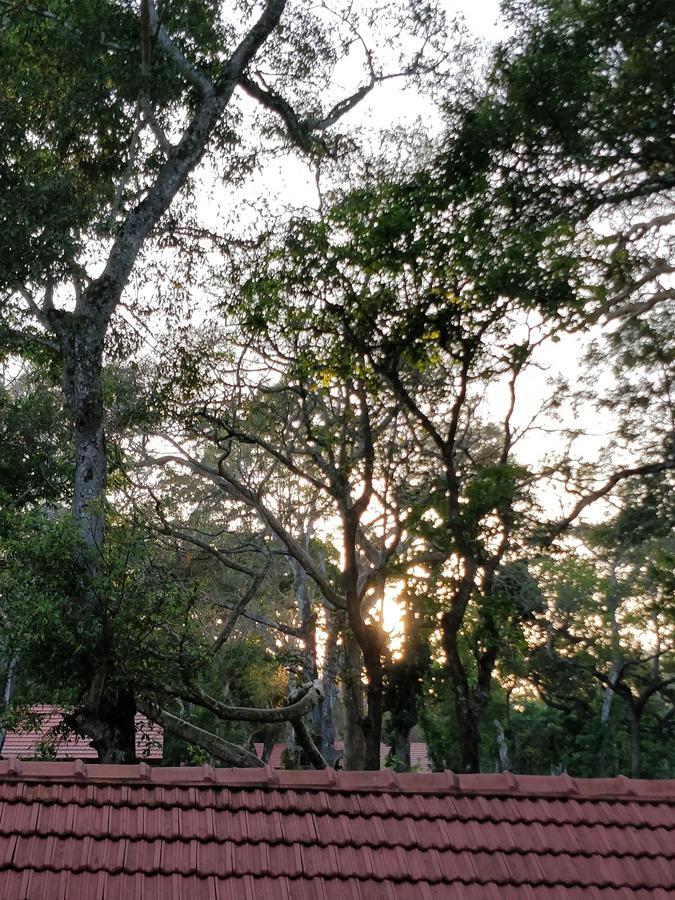The Birchwood Retreat, Madikeri Hotel Exterior foto